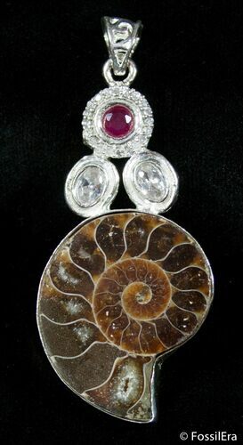 Ammonite Pendant #2869